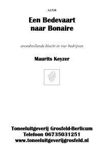 Een bedevaart naar Bonaire - Mauritz Keyzer - Grosfeld